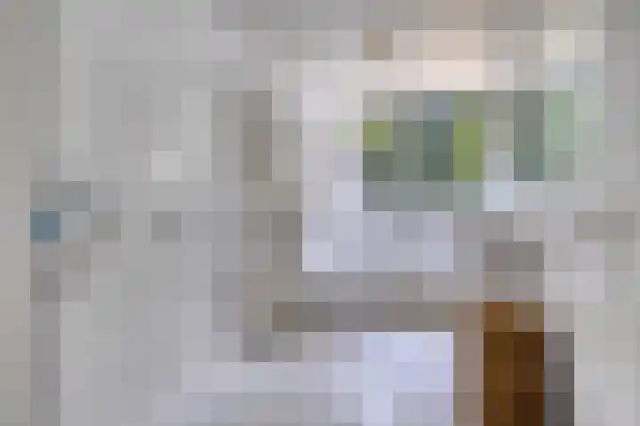 Bachlaan 18 Helmond thumbnail 36