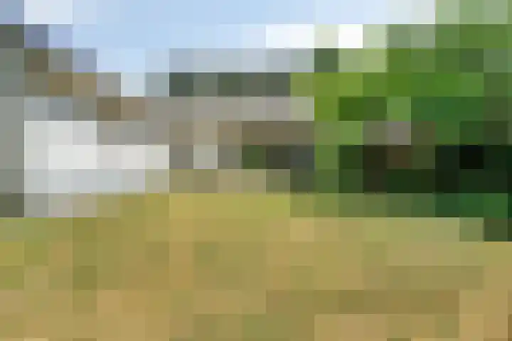 Bachlaan 18 Helmond thumbnail 4
