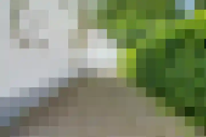 Bachlaan 18 Helmond thumbnail 9