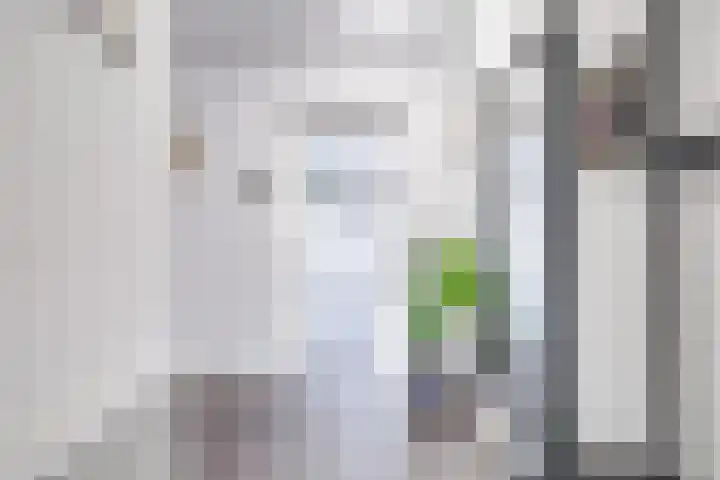 Bachlaan 181 Zeist thumbnail 22