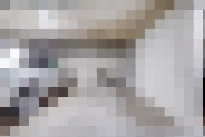 Bachlaan 181 Zeist thumbnail 30