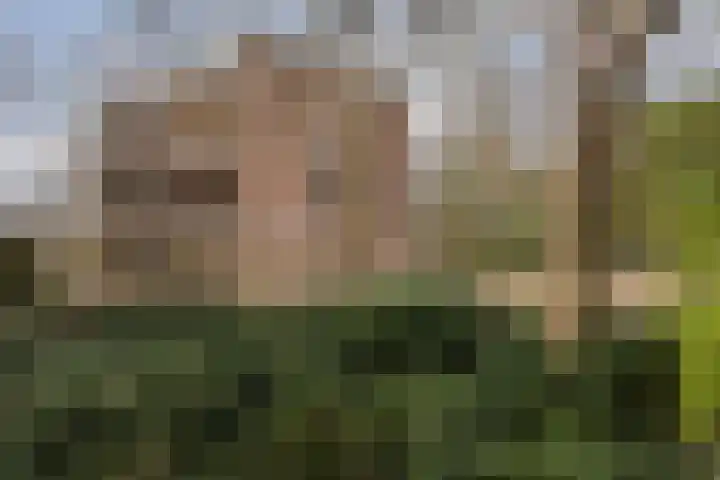 Bachlaan 181 Zeist thumbnail 34