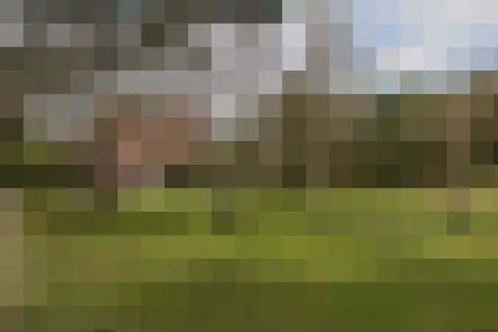 Bachlaan 181 Zeist thumbnail 36