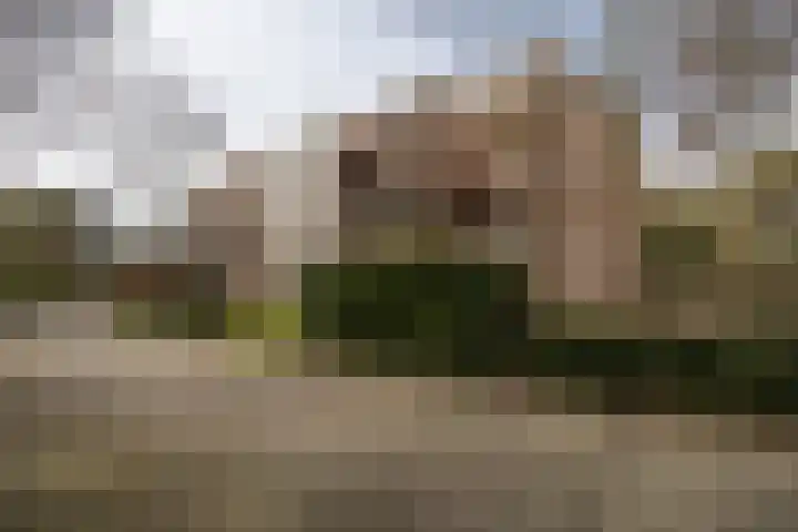 Bachlaan 181 Zeist thumbnail 37