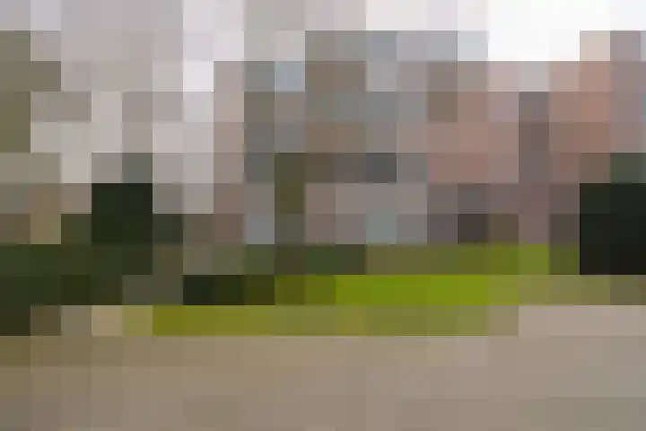 Bachlaan 181 Zeist thumbnail 40