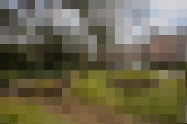 Bachlaan 181 Zeist thumbnail 41