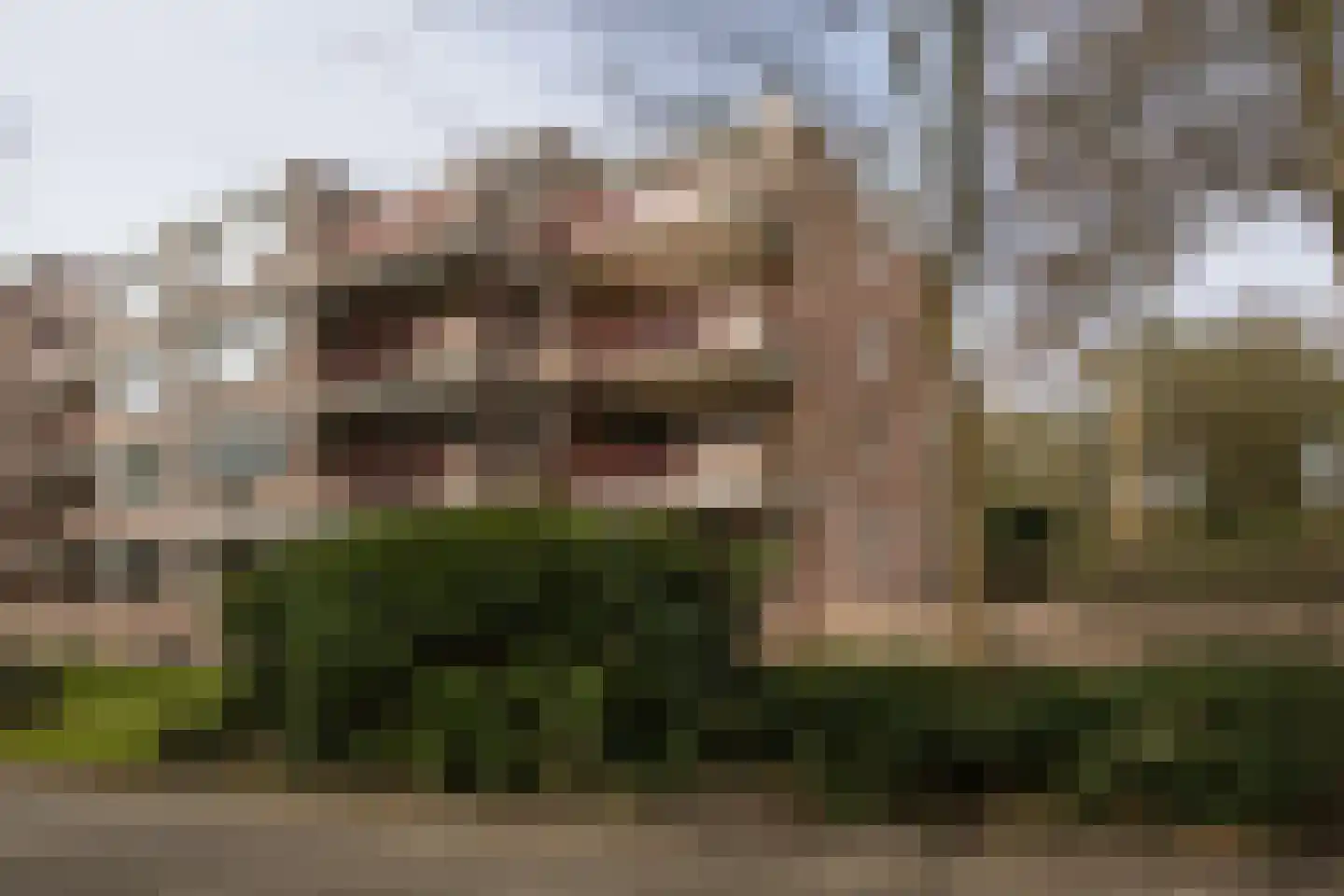 Bachlaan 181 Zeist thumbnail 49