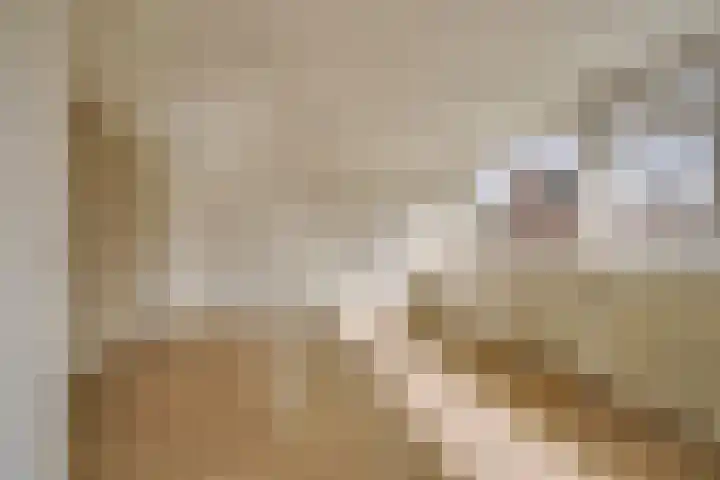 Bachlaan 24 Naaldwijk thumbnail 21
