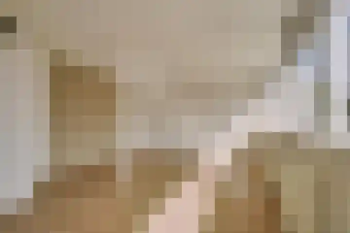 Bachlaan 24 Naaldwijk thumbnail 22