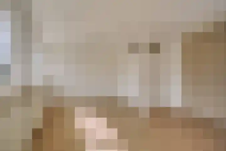 Bachlaan 24 Naaldwijk thumbnail 23