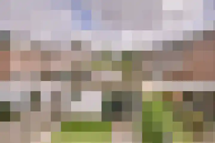 Bachlaan 24 Naaldwijk thumbnail 25