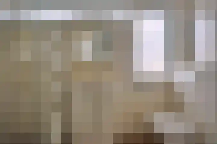 Bachlaan 24 Naaldwijk thumbnail 26