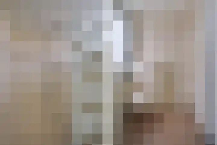 Bachlaan 24 Naaldwijk thumbnail 28