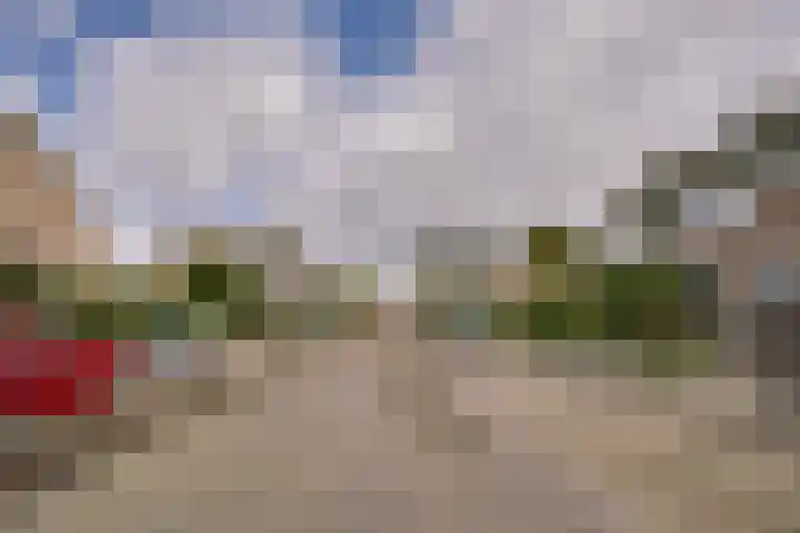 Bachlaan 24 Naaldwijk thumbnail 39