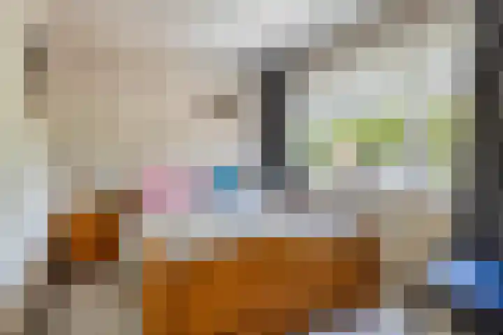 Bachlaan 25 Terneuzen thumbnail 15
