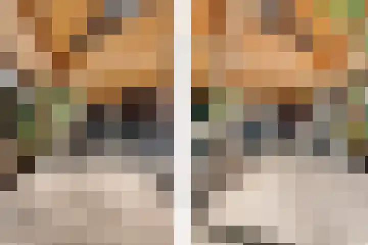 Bachlaan 26 Oss thumbnail 10