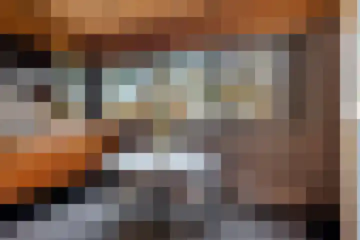 Bachlaan 26 Oss thumbnail 13