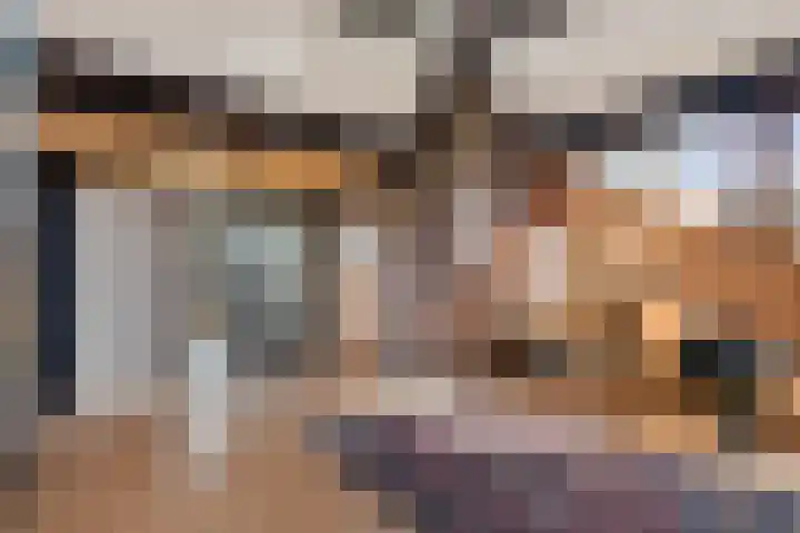 Bachlaan 26 Oss thumbnail 18