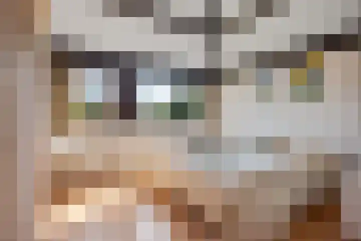 Bachlaan 26 Oss thumbnail 22