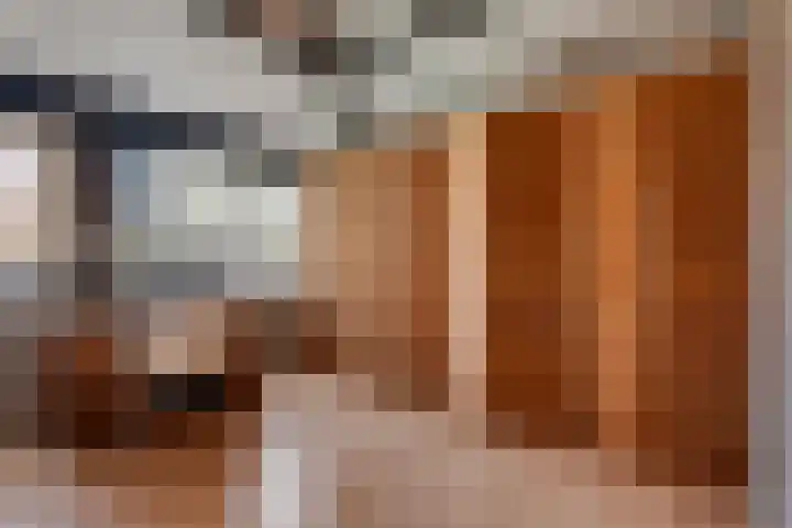 Bachlaan 26 Oss thumbnail 27