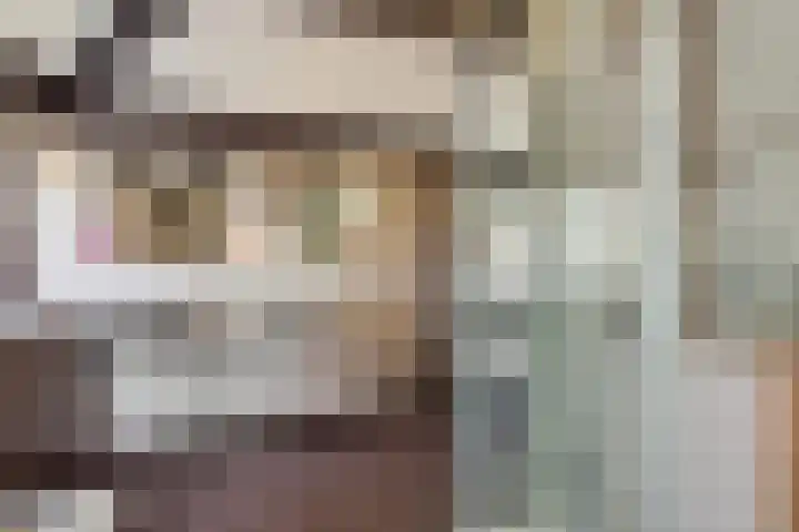 Bachlaan 26 Oss thumbnail 28