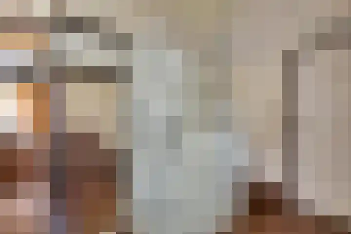 Bachlaan 26 Oss thumbnail 29