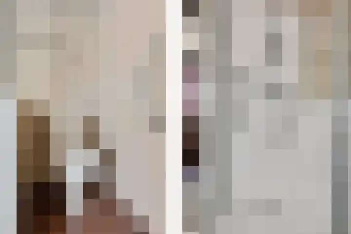 Bachlaan 26 Oss thumbnail 31