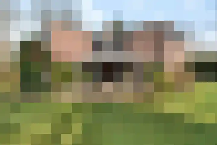 Bachlaan 26 Oss thumbnail 33