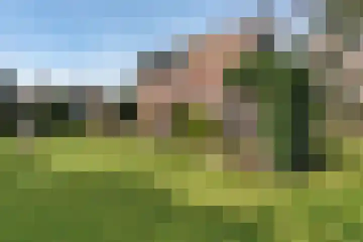 Bachlaan 26 Oss thumbnail 34