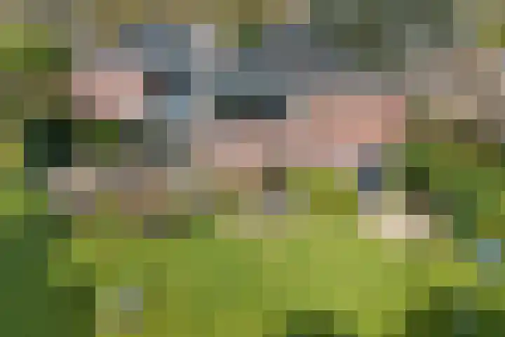 Bachlaan 26 Oss thumbnail 35