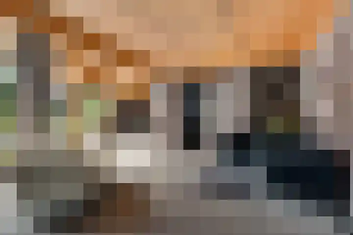 Bachlaan 26 Oss thumbnail 4