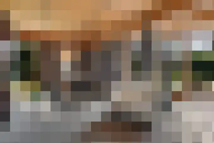 Bachlaan 26 Oss thumbnail 5