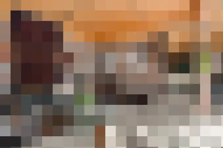 Bachlaan 26 Oss thumbnail 7