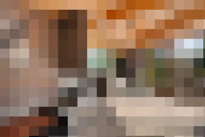 Bachlaan 26 Oss thumbnail 8