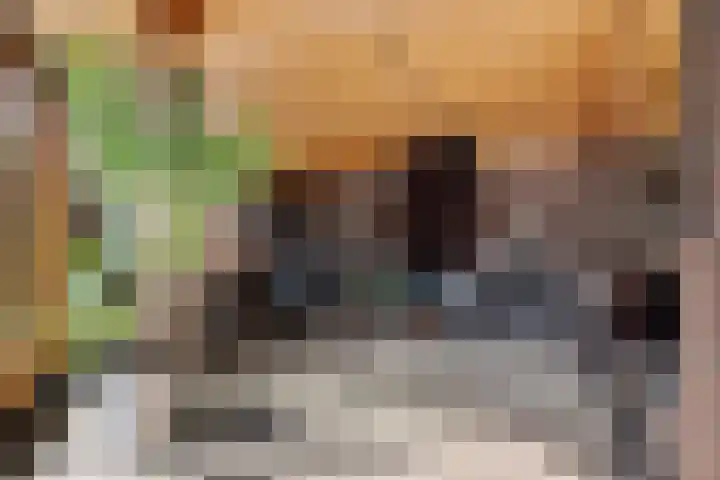 Bachlaan 26 Oss thumbnail 9