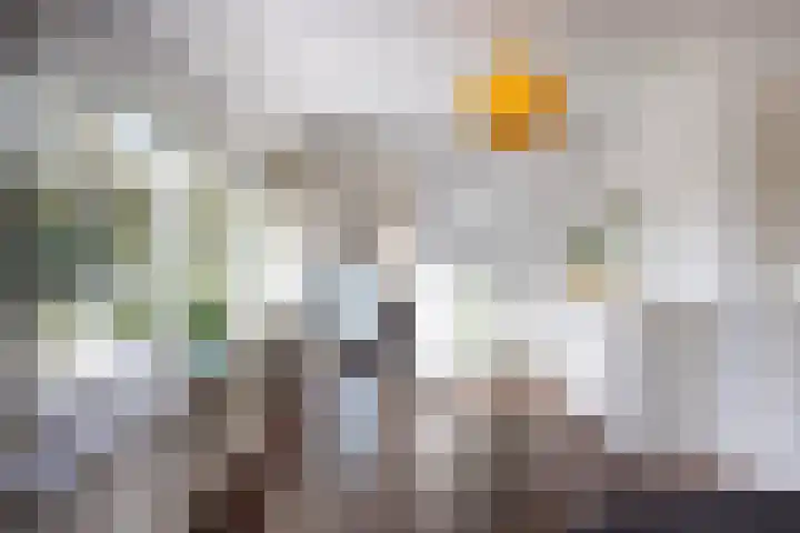 Bachlaan 28 Hilversum thumbnail 12
