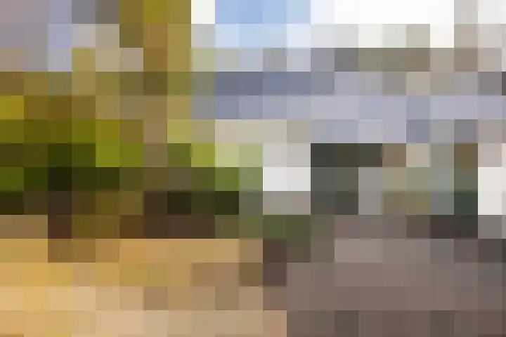 Bachlaan 28 Hilversum thumbnail 38