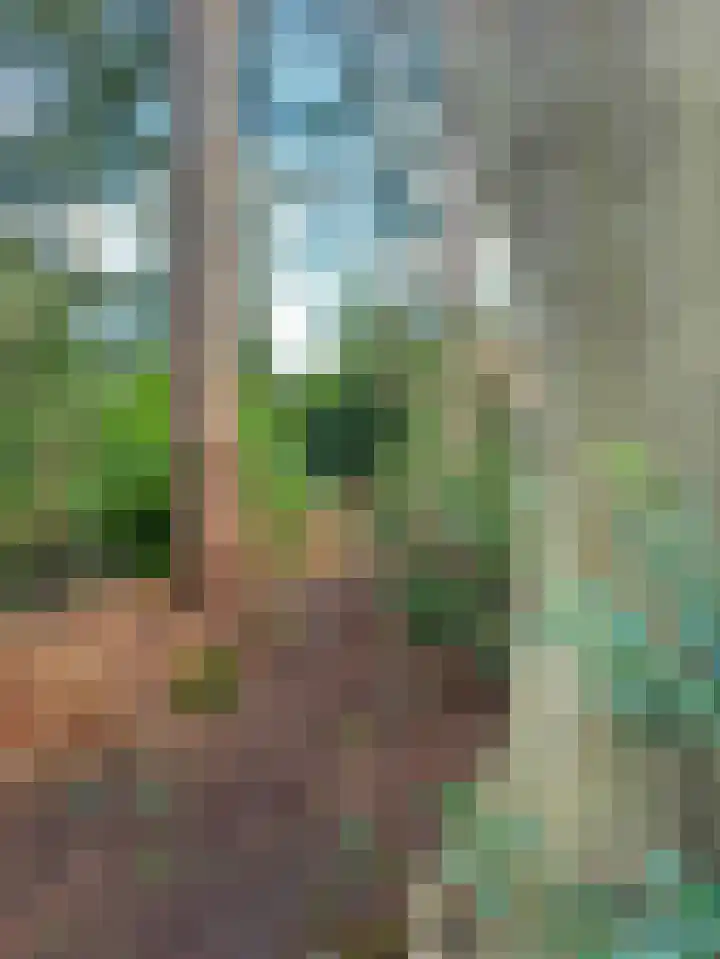 Bachlaan 28 Hilversum thumbnail 50