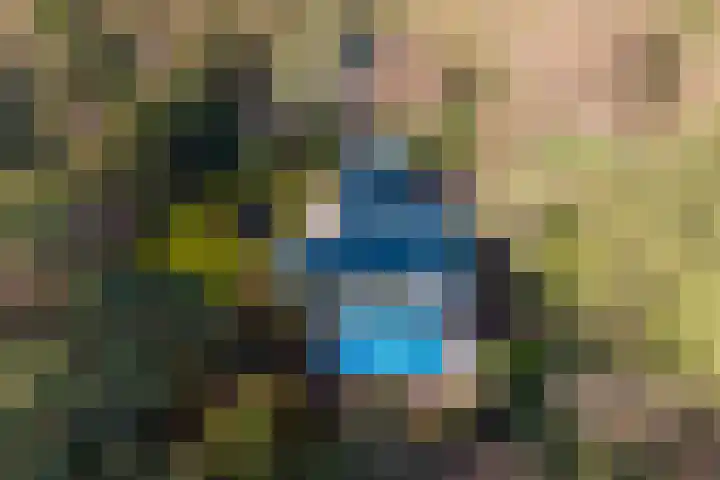 Bachlaan 28 Hilversum thumbnail 57