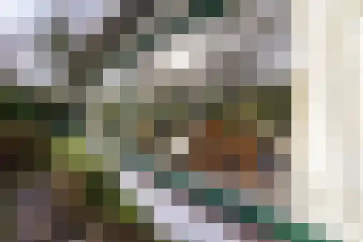 Bachlaan 28 Hilversum thumbnail 6