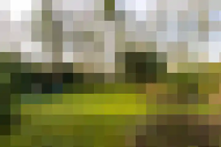Bachlaan 28 Hilversum thumbnail 7