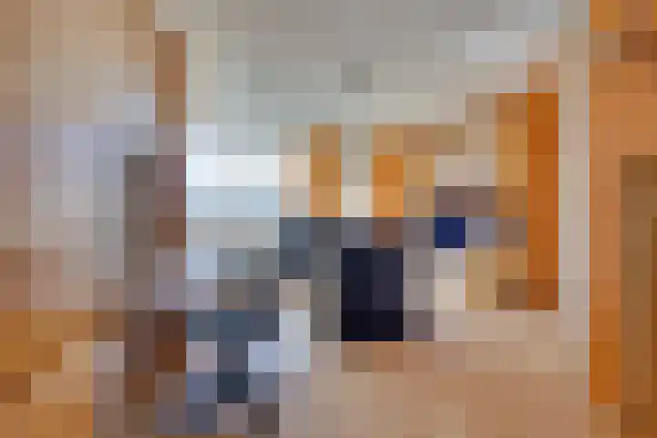 Bachlaan 35 Landgraaf thumbnail 13