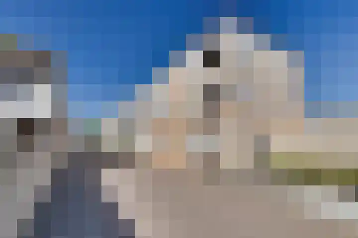 Bachlaan 35 Landgraaf thumbnail 42