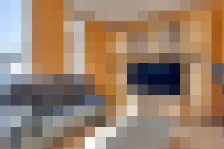 Bachlaan 35 Landgraaf thumbnail 7