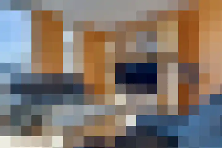Bachlaan 35 Landgraaf thumbnail 9