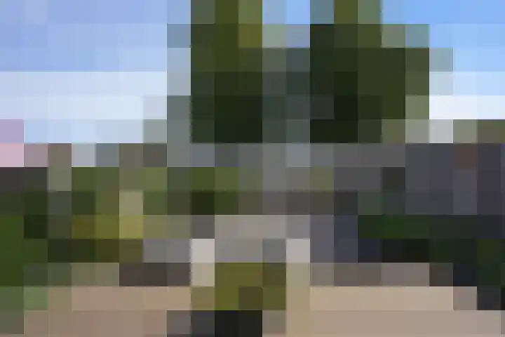 Bachlaan 49 Landgraaf thumbnail 20