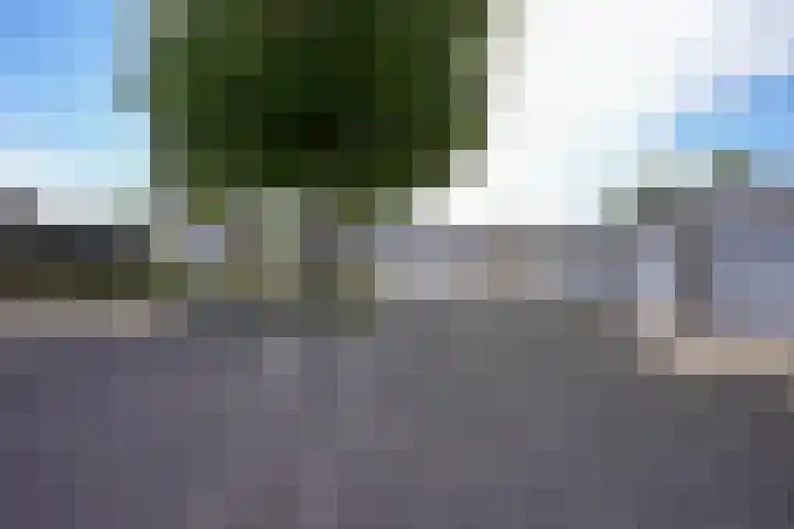 Bachlaan 49 Landgraaf thumbnail 31