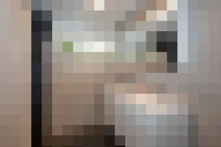 Bachlaan 5 Almelo thumbnail 16