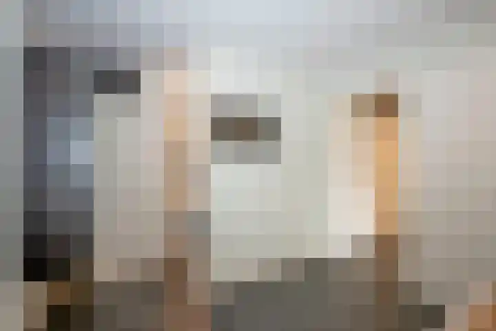 Bachlaan 5 Almelo thumbnail 21