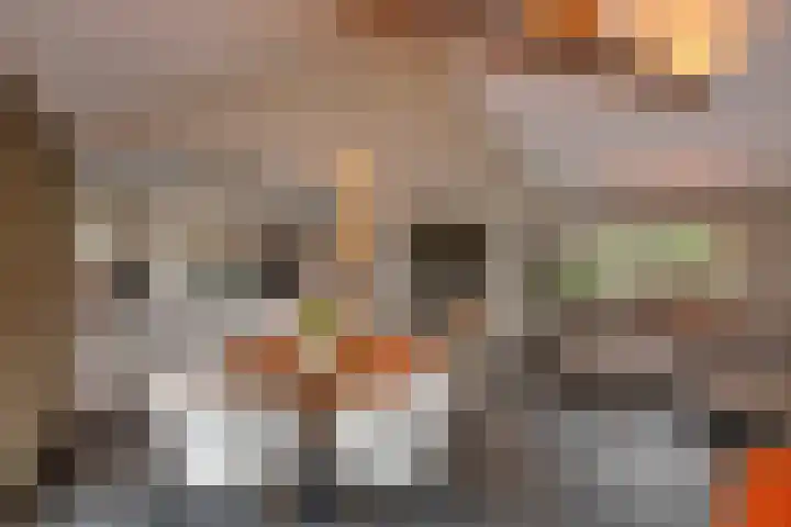 Bachlaan 5 Almelo thumbnail 7